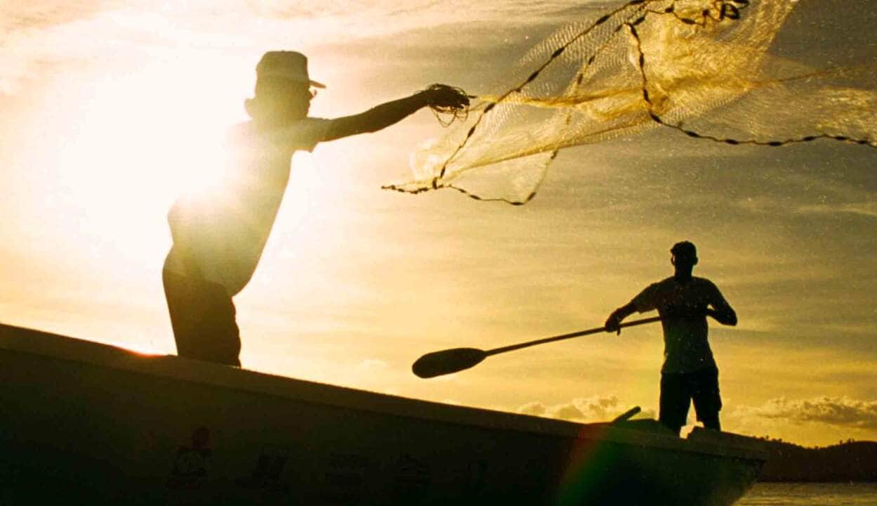 Seguro-Defeso Do Pescador Artesanal Terá Novas Regras A Partir De Outubro 83 Investigações sobre irregularidades no Seguro-Defeso do Pescador Artesanal