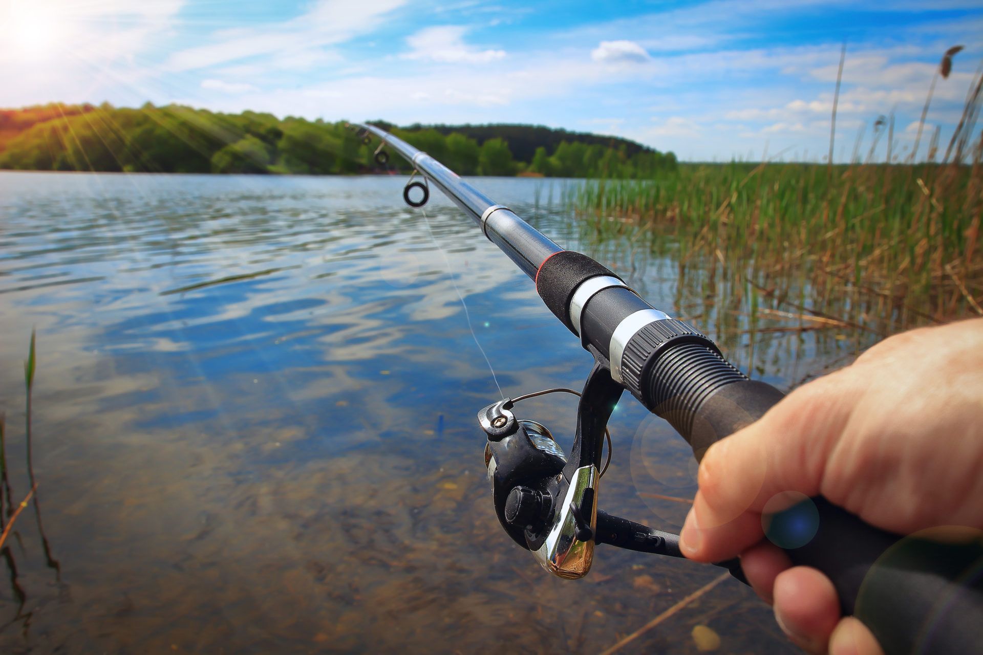 Seguro-Defeso Do Pescador Artesanal Terá Novas Regras A Partir De Outubro 84 bigstock 192929866