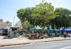 Arquivo
