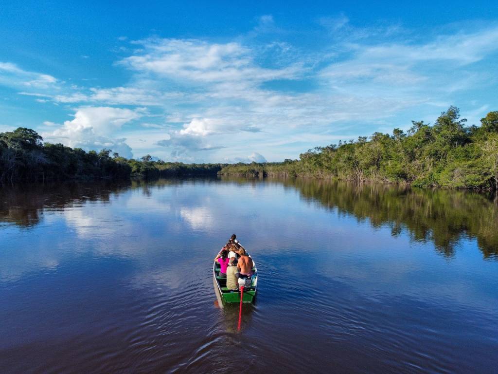 floresta amazônica passeio no rio negro