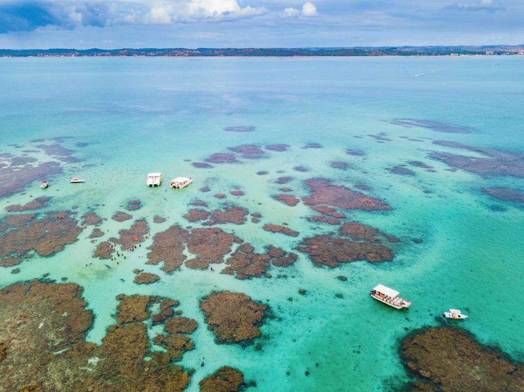 Galés de Maragogi, Alagoas
