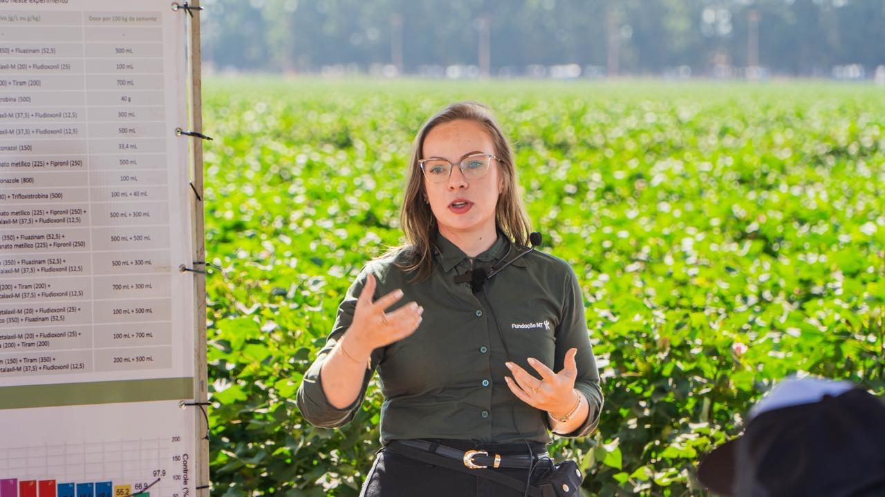 Mato Grosso Se Aproxima De Safra Histórica De Algodão Com Alta Produtividade Na Temporada 24/25 76 WhatsApp Image 2025 09 12 at 13.31.47