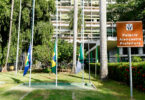 Arquivo
