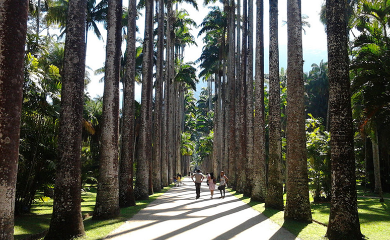 Foto de jardins mais bonitos do brasil 01 - 1