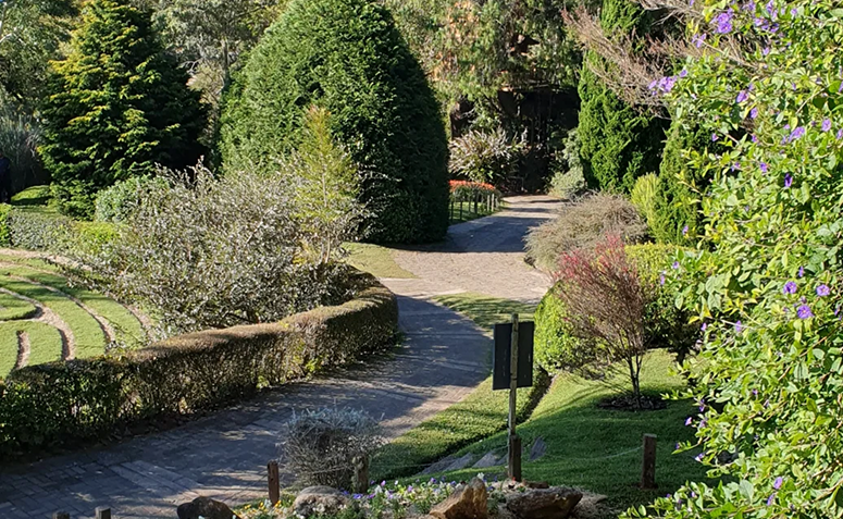 Foto de jardins mais bonitos do brasil 03 - 3