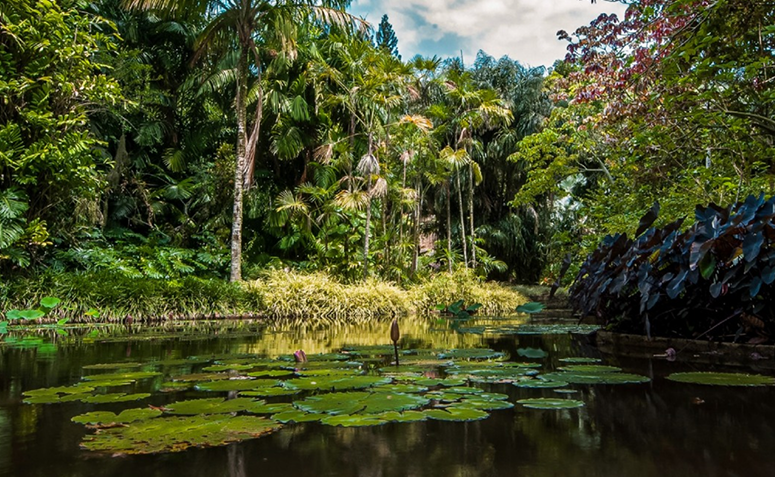 Foto de jardins mais bonitos do brasil 07 - 6