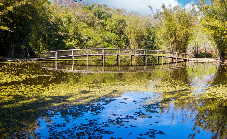Foto de jardins mais bonitos do brasil 09 - 10