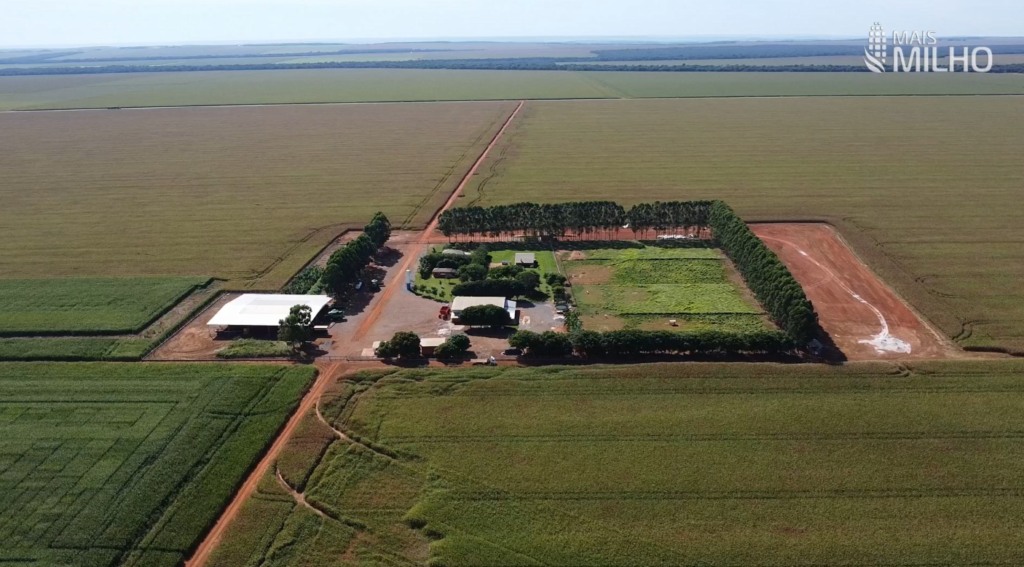 FAzenda Catarinense Santa Rita do Trivelato Especial Mais Milho Foto Israel Baumann Dia de Ajudar Mato Grosso