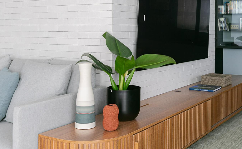 Foto de plantas para ambientes com ar condicionado 004 - 4