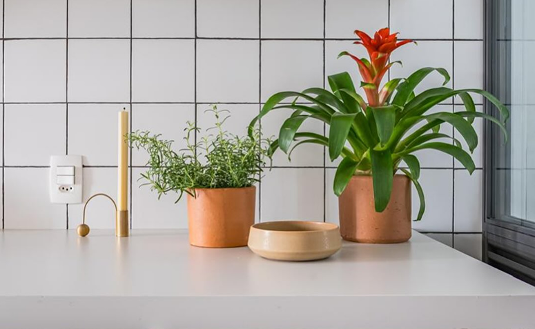 vaso com bromélia na decoração da cozinha