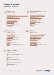 grficos PPM 2024 produtoss