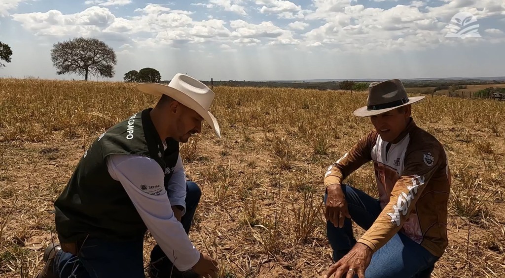 senar transforma ateg pecuaria foto israel baumann canal rural mato grosso