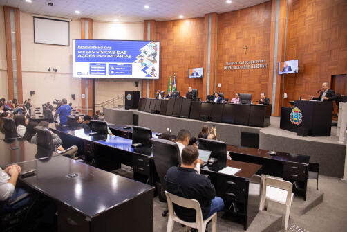 Governo Divulga Resultados Das Metas Físicas Do 1º Semestre Para Deputados: Confira Os Detalhes! 1 2025 word3