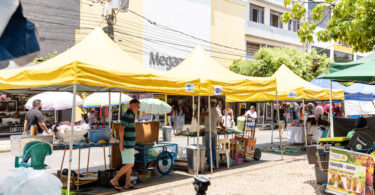 Arquivo