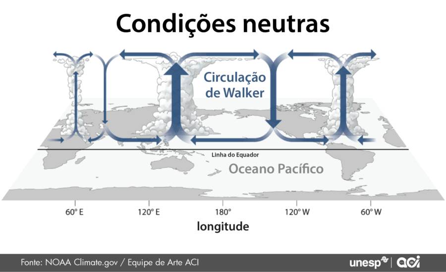 Gráfico sobre as Condições neutras.