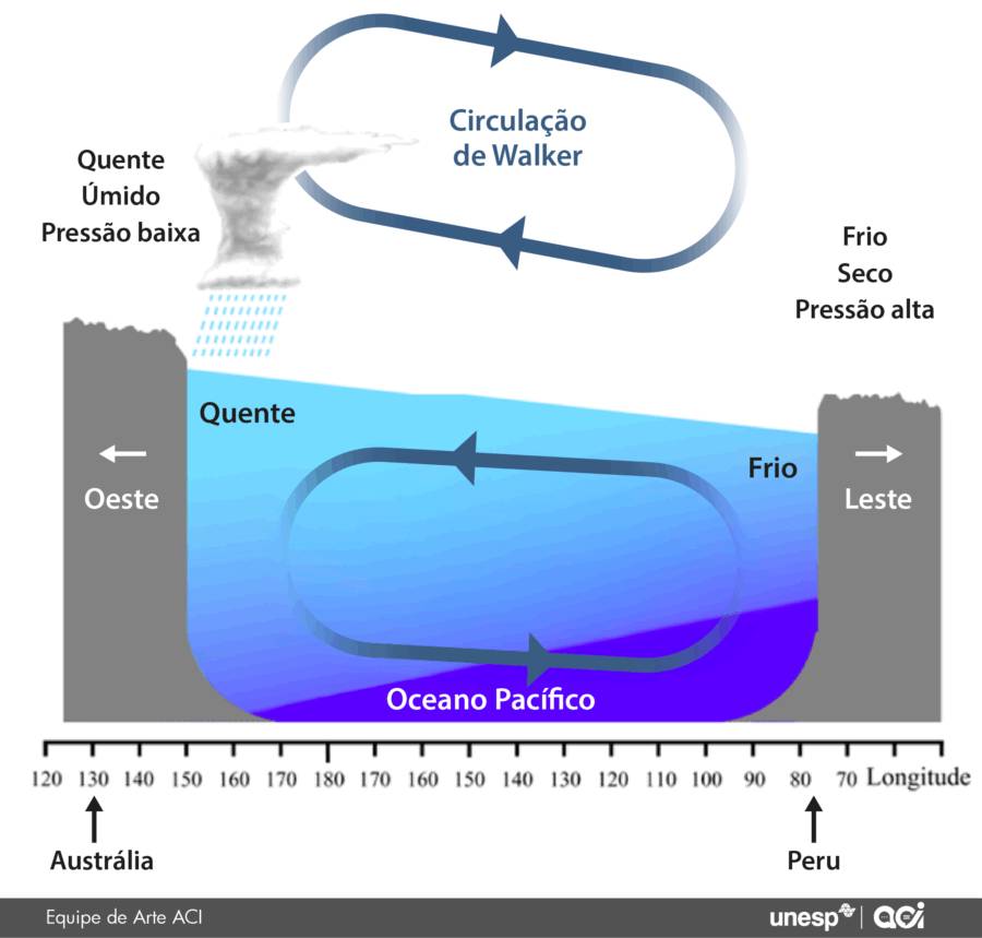 Gráfico sobre a circulação de Walker.