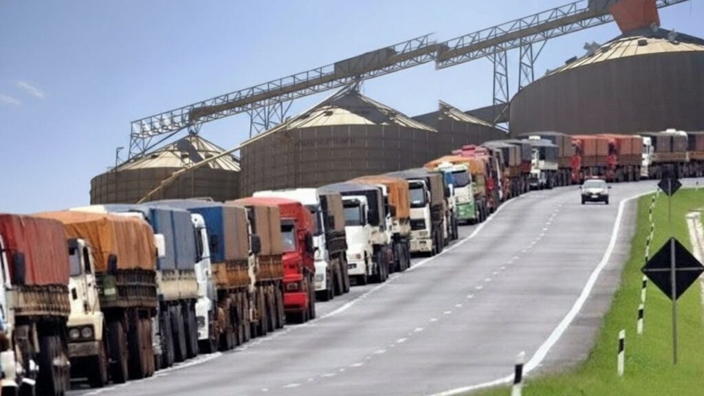 Crise No Campo: Déficit De Armazenagem Em Mato Grosso Acende Alerta Com Falta De Crédito Do Novo Plano Safra 82 Armazenamento de Soja em Mato Grosso