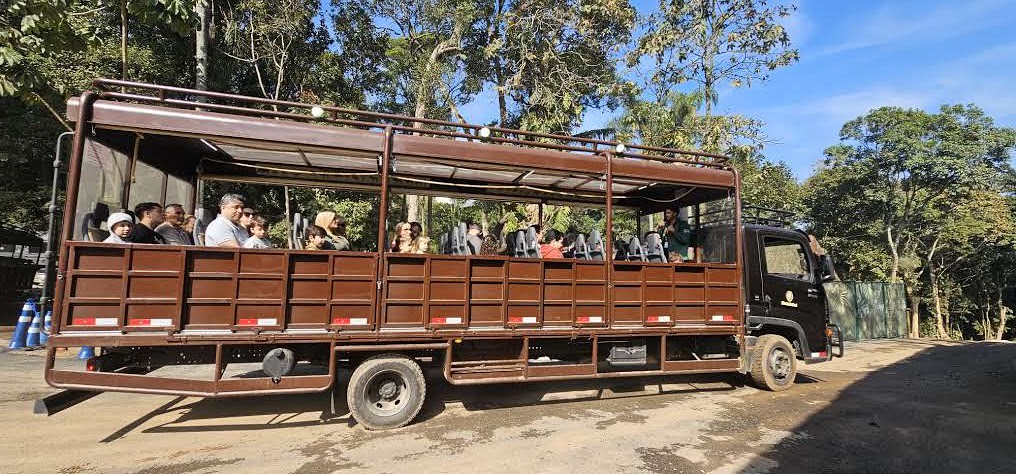 Simba-Safari-Caminhao simba-safari-caminhao