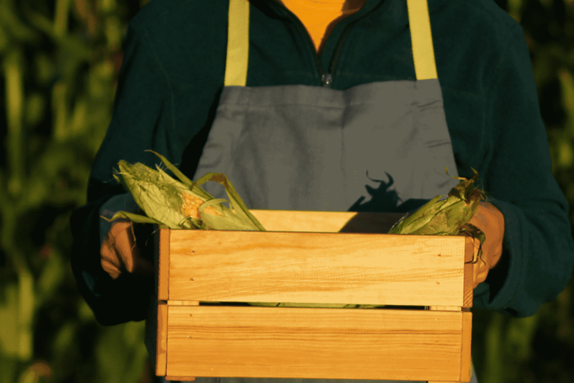 Desenrola Rural: Renegociação Histórica De R$ 12 Bilhões Em Dívidas Da Agricultura Familiar 1 2025 word1