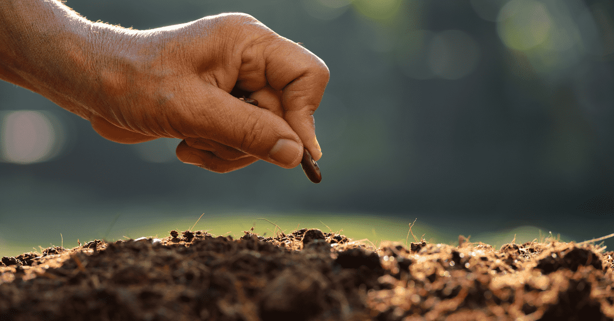 Desenrola Rural Renegocia Quase R$ 12 Bilhões Em Dívidas Da Agricultura Familiar 77 Instituições se destacam nas adesões ao Desenrola Rural