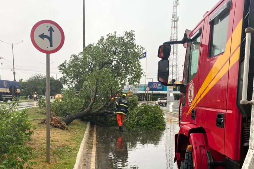 Bombeiros Desbloqueiam Ruas Após Queda De Árvores Em Campo Verde 1 2025 word2