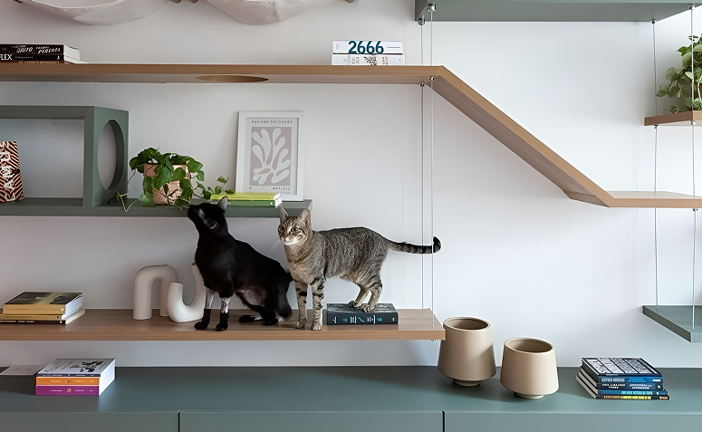 casa gatificada para garantir o bem-estar dos pets.