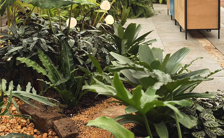Jardim de chuva com plantas tropicais e pedras, ajudando na drenagem natural da água no quintal.