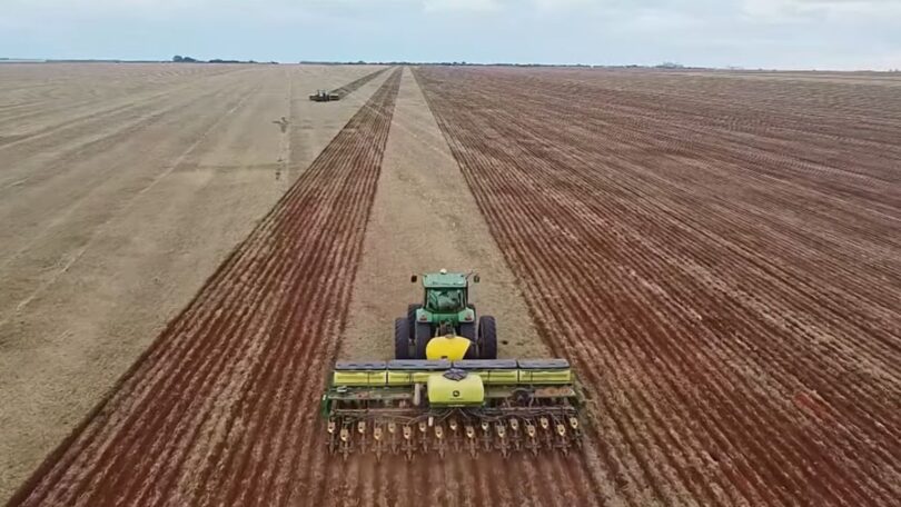 Avanço Da Soja Em Mato Grosso: Importância Da Chuva E Estratégia Do Produtor 1 2025 word2