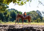 Edição Especial: Domingo No Parque Comemora O Dia Das Crianças Em Poconé 4 2025 word3