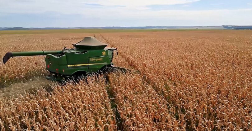 Produtores De Mato Grosso Antecipam Plantio De Soja Para Melhorar Cultivo De Milho 1 2025 word3
