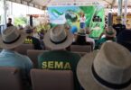 Programa De Recuperação Ambiental É Expandido Em Propriedades Do Araguaia 6 2025 word2