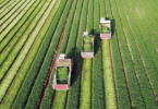 Estoque De Letras De Crédito Do Agronegócio Alcança R$ 608 Bilhões Em Setembro 4 2025 word2