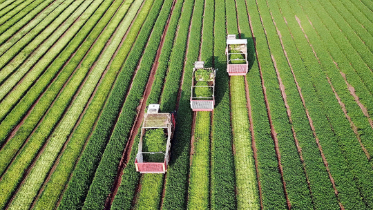 Estoque De Letras De Crédito Do Agronegócio Alcança R$ 608 Bilhões Em Setembro 1 2025 word2