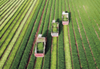 Estoque De Letras De Crédito Do Agronegócio Atinge R$ 608 Bilhões Em Setembro: Saiba Mais! 4 2025 word2