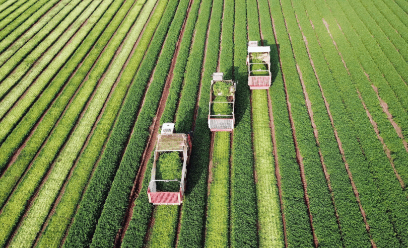 Estoque De Letras De Crédito Do Agronegócio Atinge R$ 608 Bilhões Em Setembro: Saiba Mais! 1 2025 word1