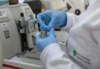 Novo Tratamento Contra Câncer De Próstata Atinge Incríveis 98% De Sucesso 5 2025 word2