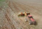 Chuva Irregular Coloca Em Risco Plantações De Soja E Janela De Cultivo Do Milho Em Mato Grosso 4 2025 word3