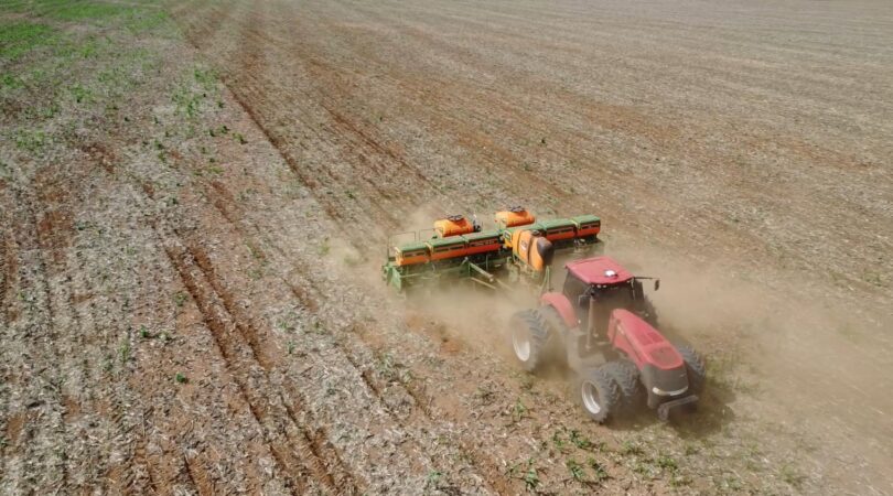 Chuva Irregular Coloca Em Risco Plantações De Soja E Janela De Cultivo Do Milho Em Mato Grosso 1 2025 word2