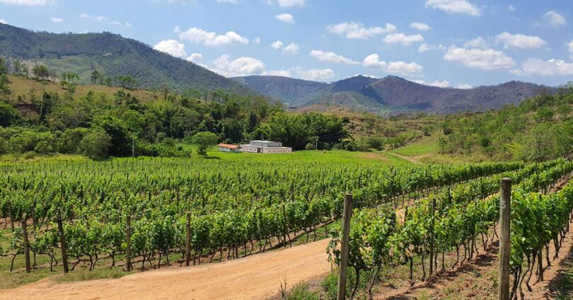 Descubra As 5 Vinícolas Na Serra Fluminense Abertas Para Visitação 1 2025 word3
