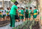 Escola Em Cuiabá Com Hortas, Salas Multifuncionais E Parque Acessível Para Pessoas Com Deficiência (Pcds) 4 Arquivo