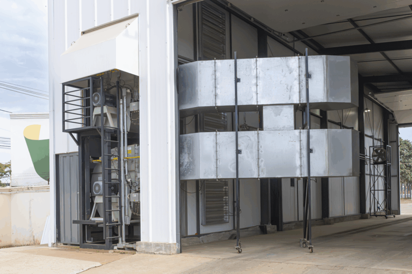 Gripe Aviária No Brasil: Emergência Prorrogada E Tecnologia Salvando Exportações De Frango 1 2025 word2