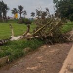 Whatsapp-Image-2025-10-28-At-09-41-44-150X150-1 2025 word3