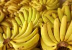 Menor Demanda Provoca Queda Nos Preços Das Bananas No Vale Do Ribeira: Saiba Mais! 5 2025 word2