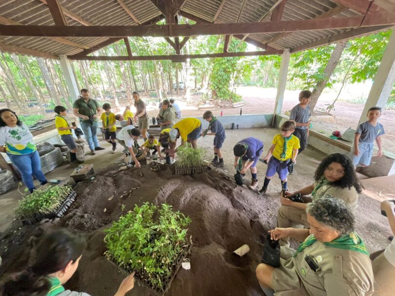 Escoteiros Promovem Ação De Educação Ambiental No Horto Florestal Tote Garcia: Saiba Mais! 1 Arquivo