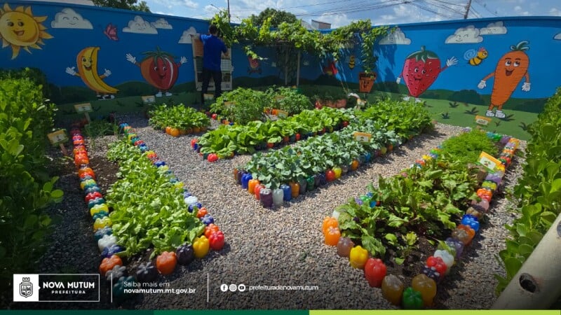 Programa De Mini Hortas Transforma Escolas Em Nova Mutum Com Foco Em Educação Nutricional E Sustentabilidade 1 2025 word3
