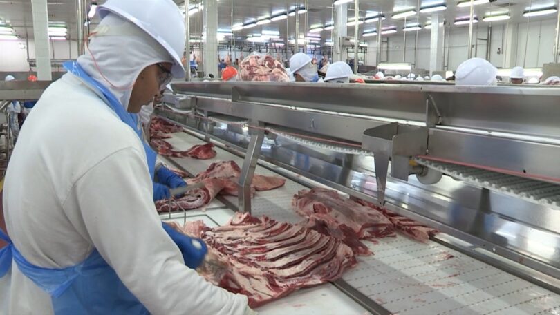 Mato Grosso Quebra Recorde De Exportação De Carne Bovina Mesmo Com Tarifas Dos Eua 1 2025 word3