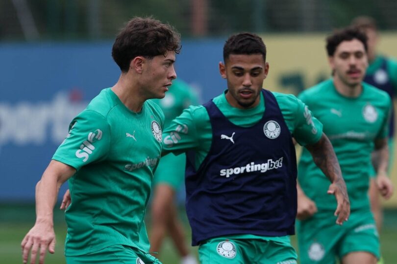 Palmeiras Vs Ldu: Saiba Onde Assistir Ao Vivo E Todas As Informações Sobre O Jogo Decisivo Da Libertadores 2025 1 2025 word1