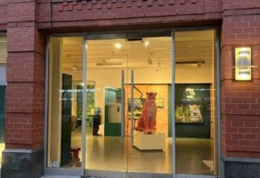 Mato Grosso: Cultura, Sabores E Arte Pantaneira Na Galeria Visit Brasil 31 2025 word1