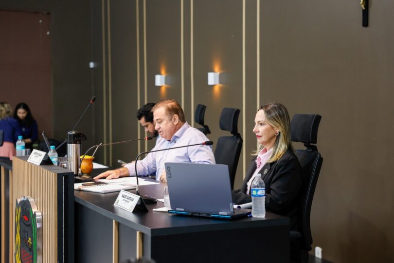 Câmara Aprova Terreno Para Pátio De Veículos E Planos De Defesa Civil Em Votação 1 2025 word2