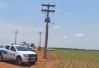 Gerente De Granja Foge Durante Ação Contra Furto De Energia Em Primaverinha: Entenda O Caso 6 2025 word1